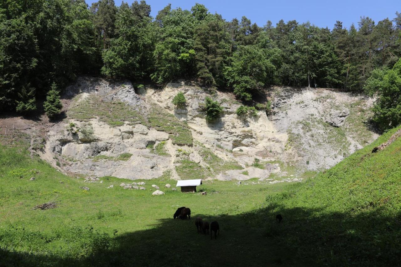 Landgasthof Adler Utzmemmingen Exteriér fotografie
